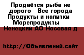 Продаётся рыба не дорого - Все города Продукты и напитки » Морепродукты   . Ненецкий АО,Носовая д.